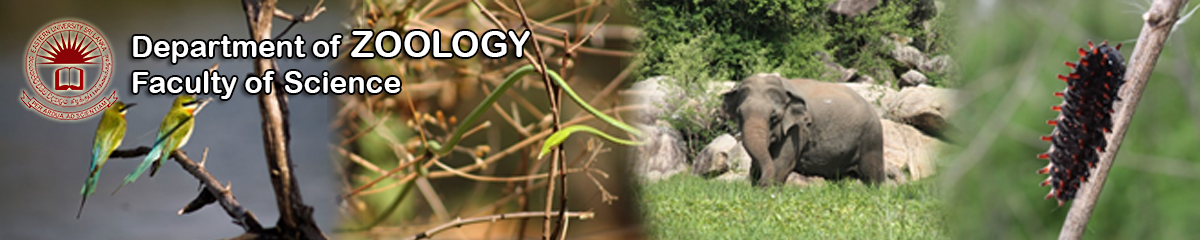 zoology banner